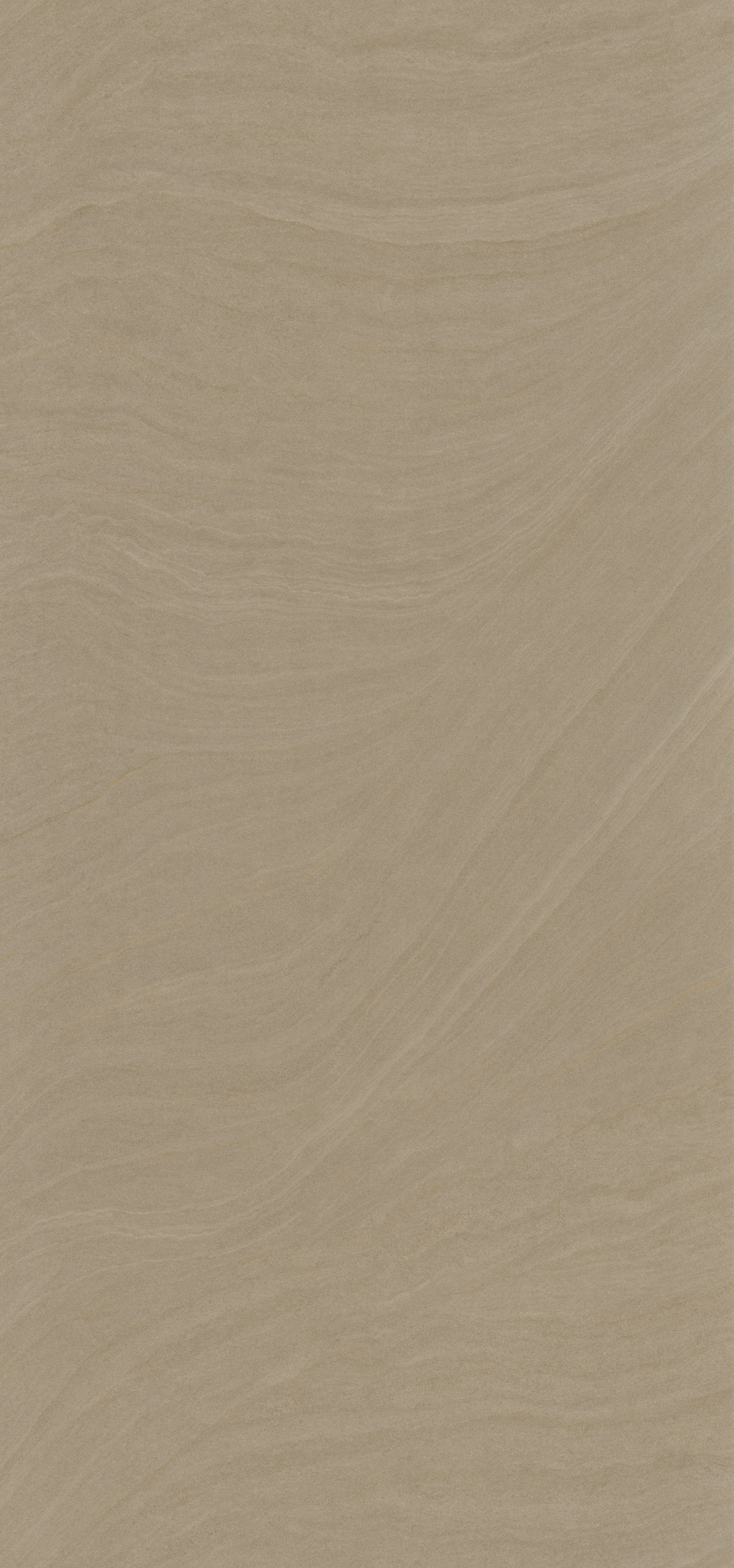 הדמיית לוח שלם