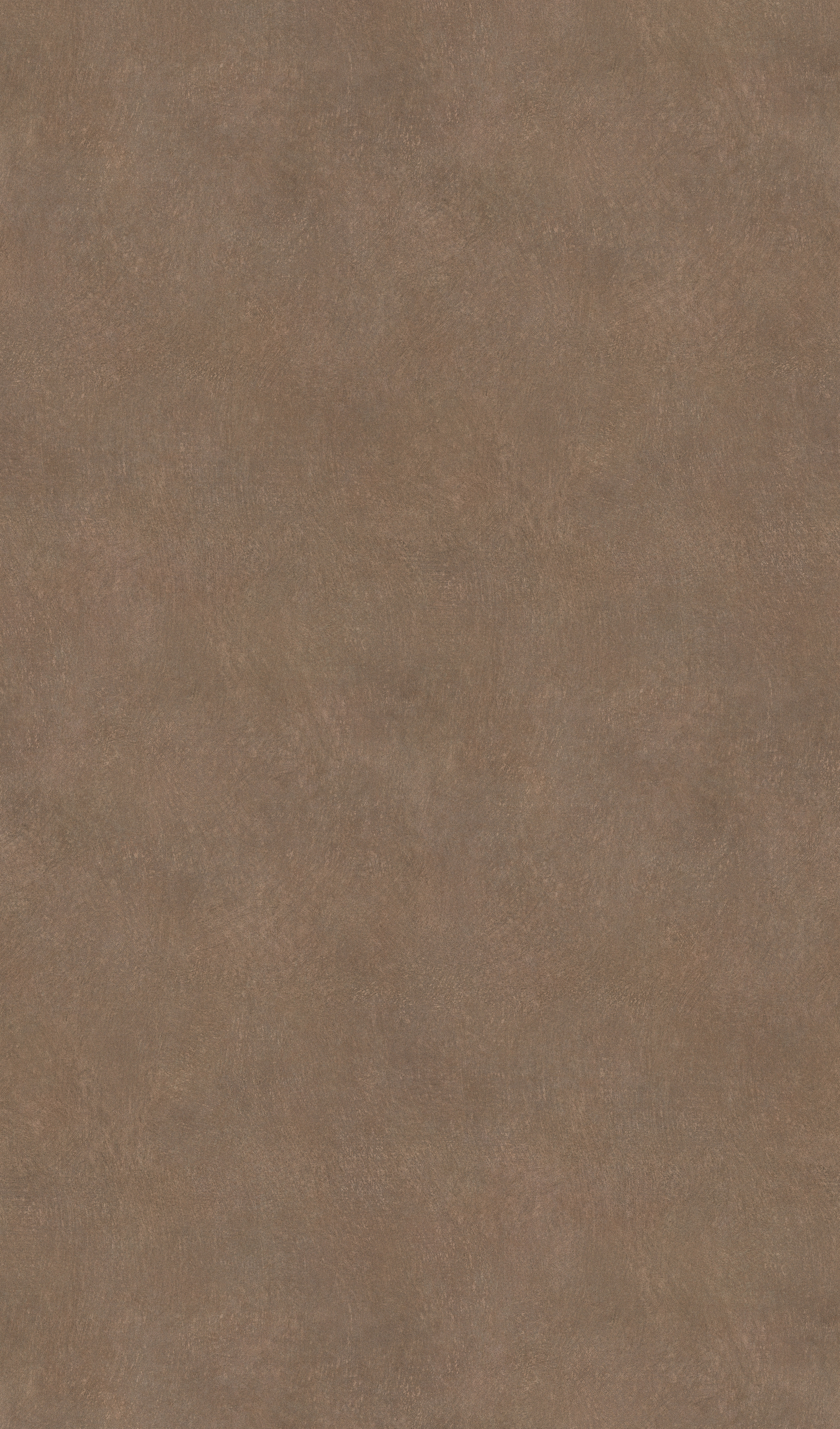 הדמיית לוח שלם