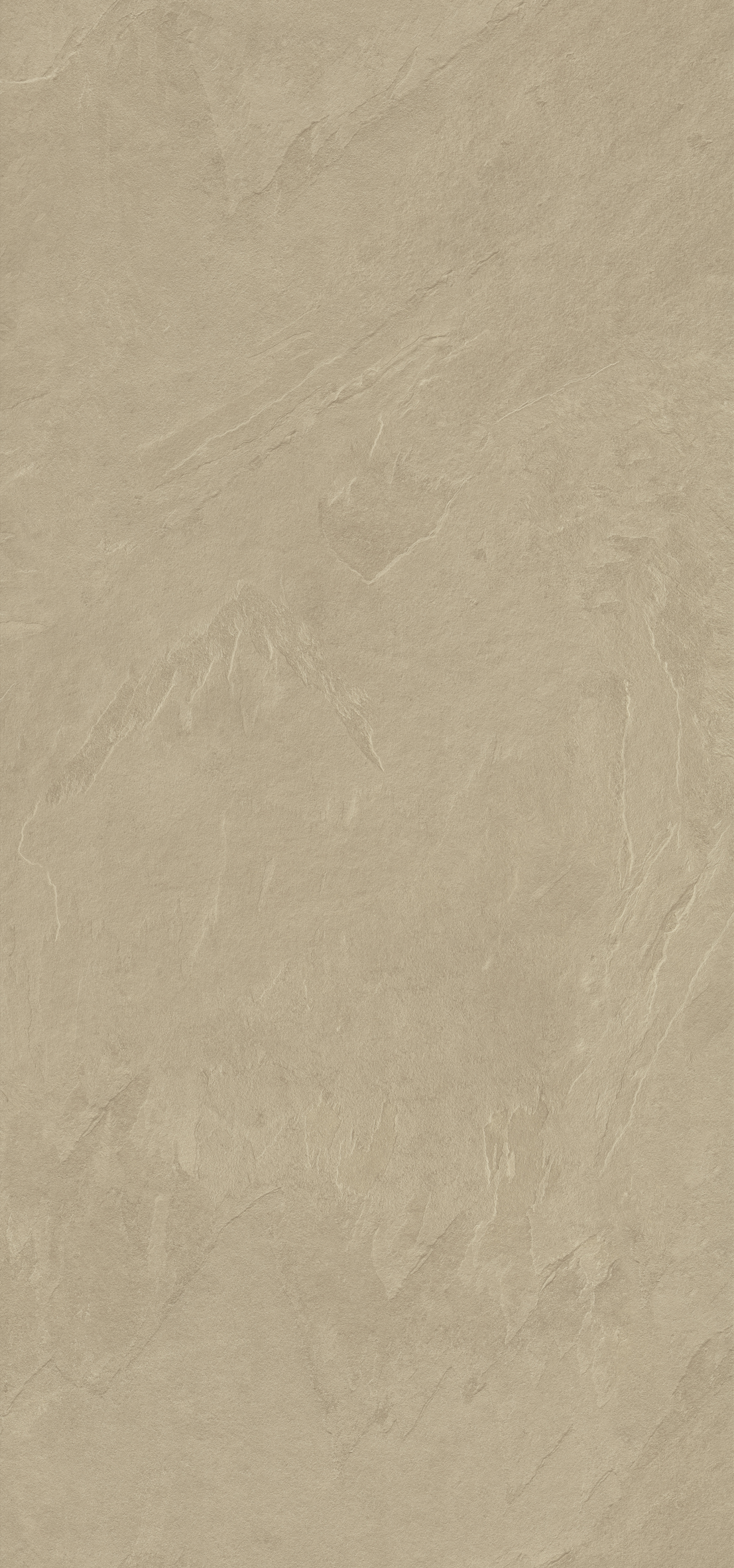 הדמיית לוח שלם