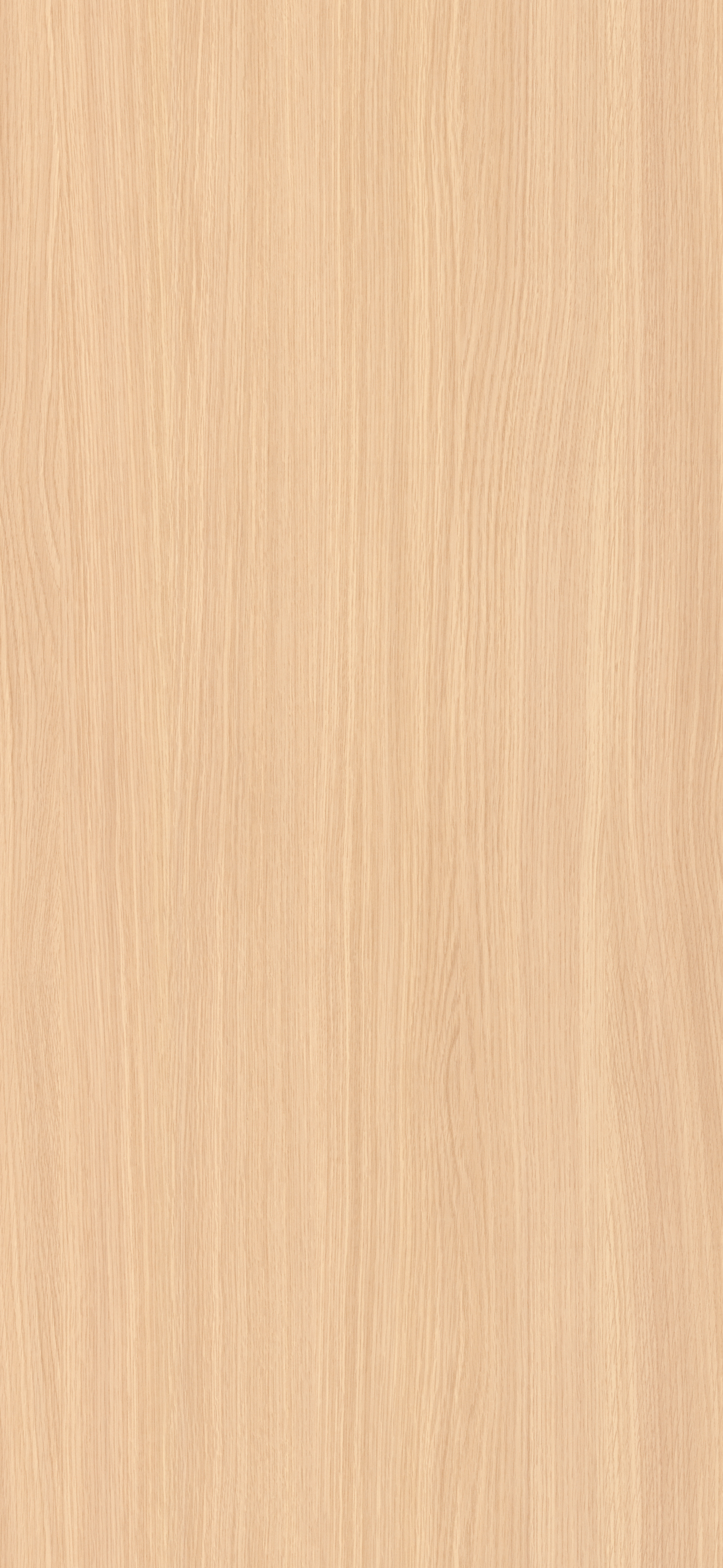 הדמיית לוח שלם