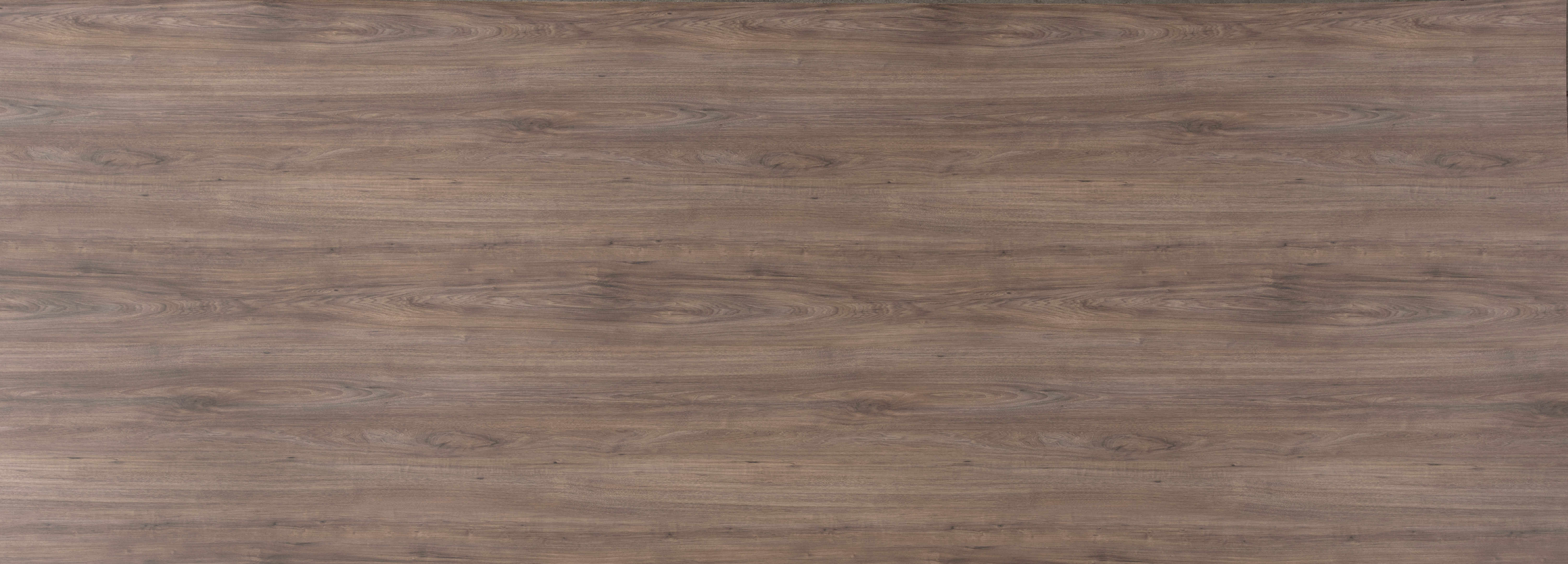 הדמיית לוח שלם