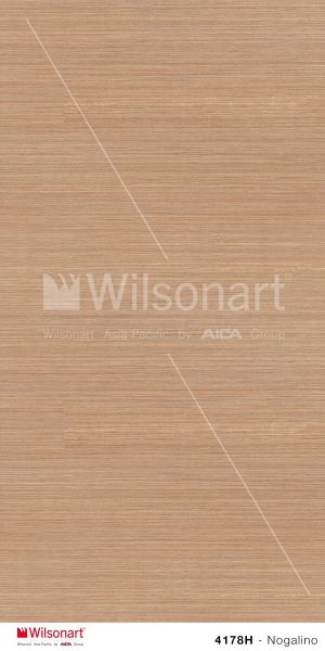 הדמיית לוח שלם