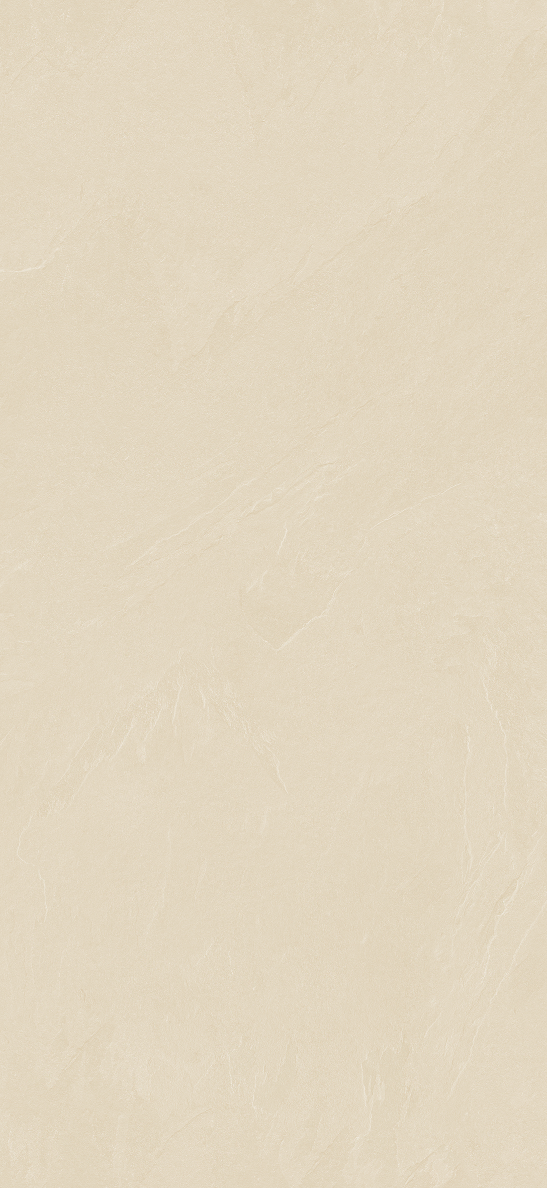 הדמיית לוח שלם