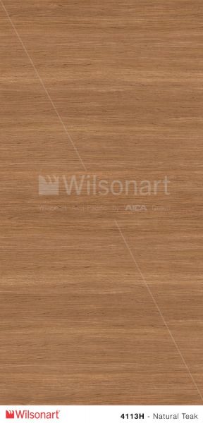 4113H הדמיית לוח שלם