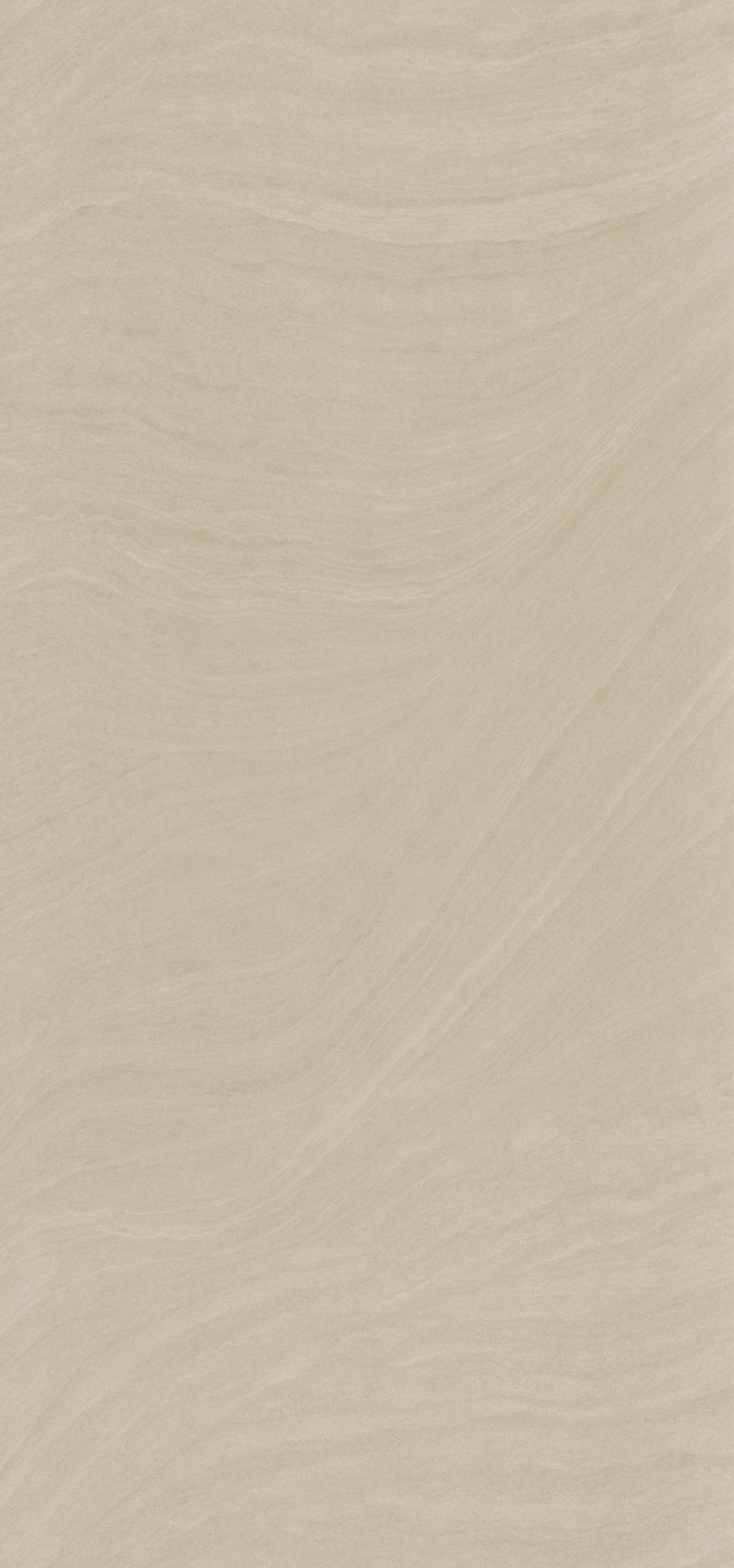 הדמיית לוח שלם