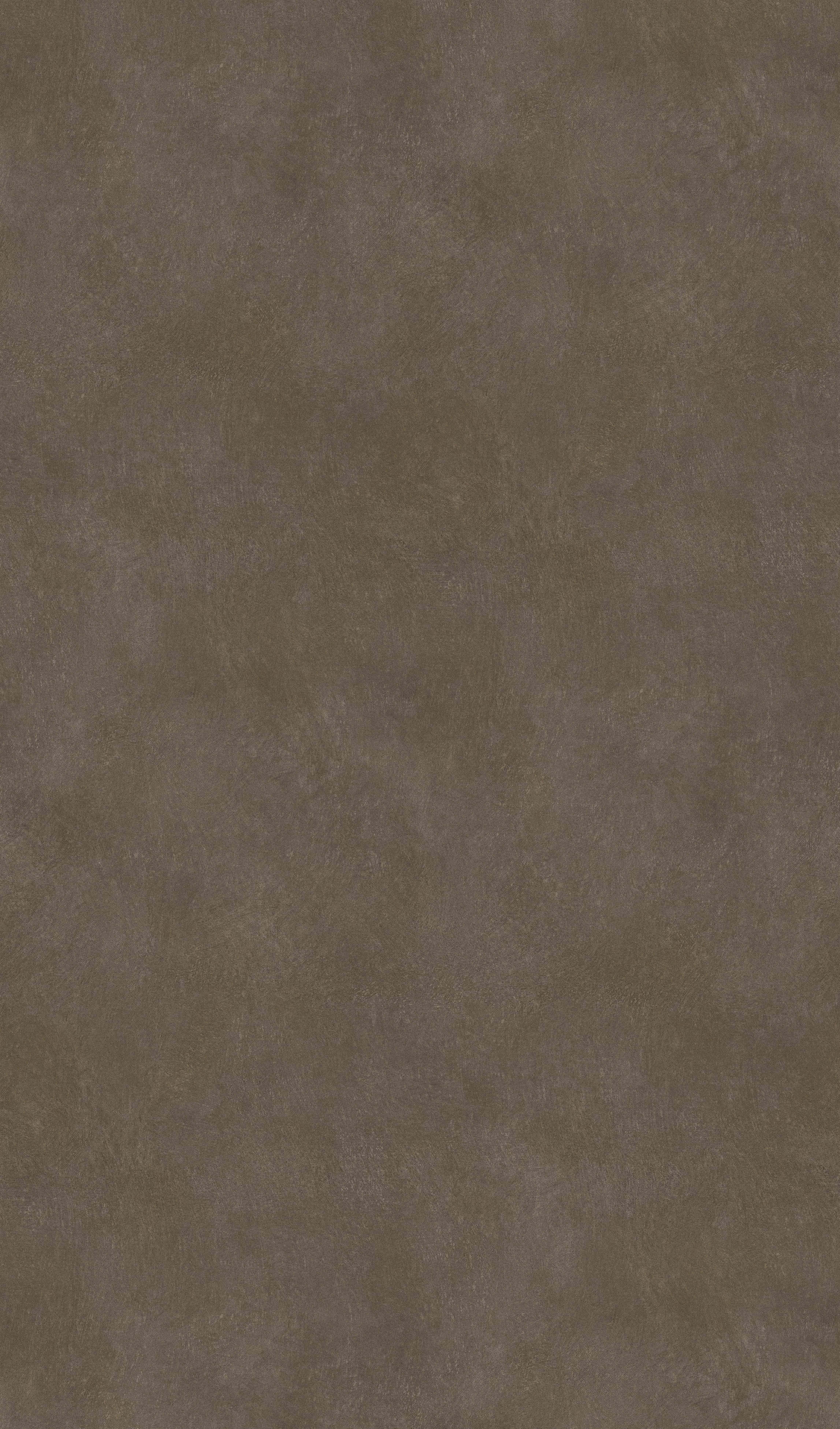 הדמיית לוח שלם